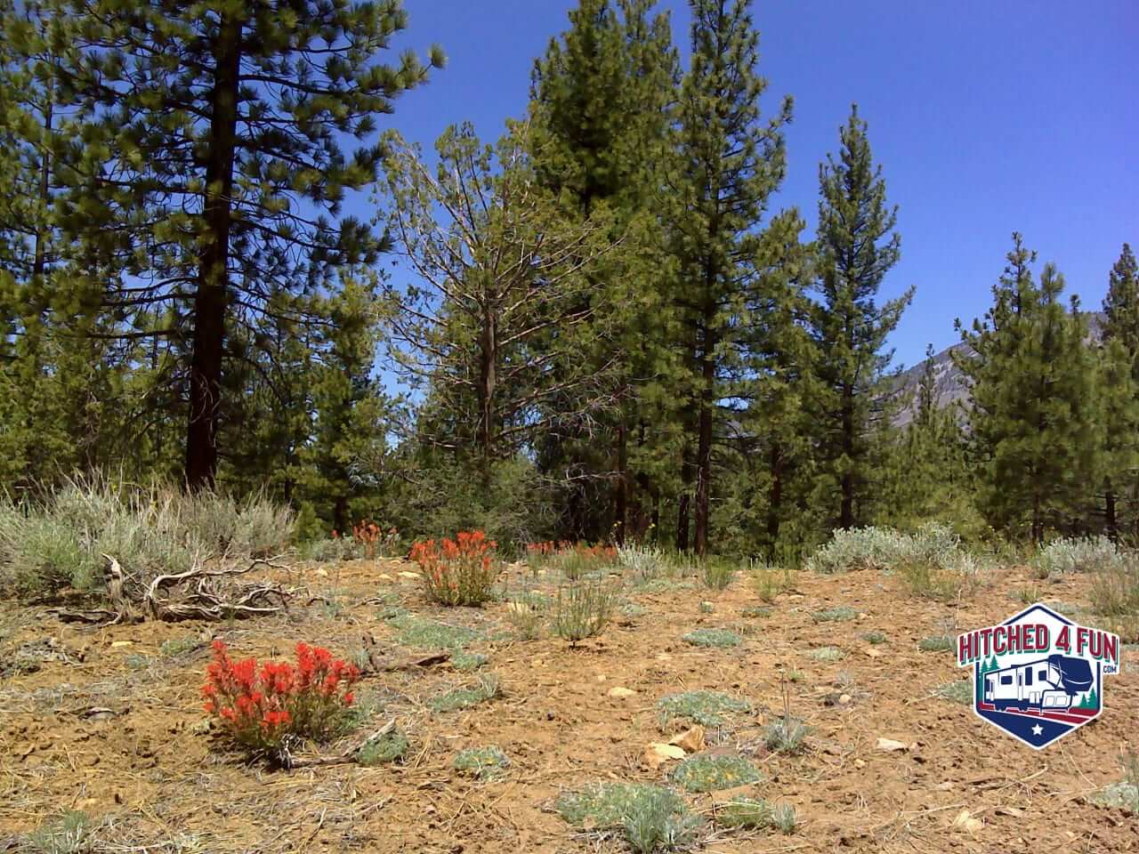 Heart Bar Campground