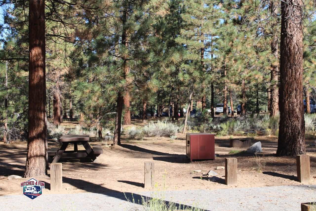 Picnic table and bear box with every site at Heart Bar Campground, Big Bear 