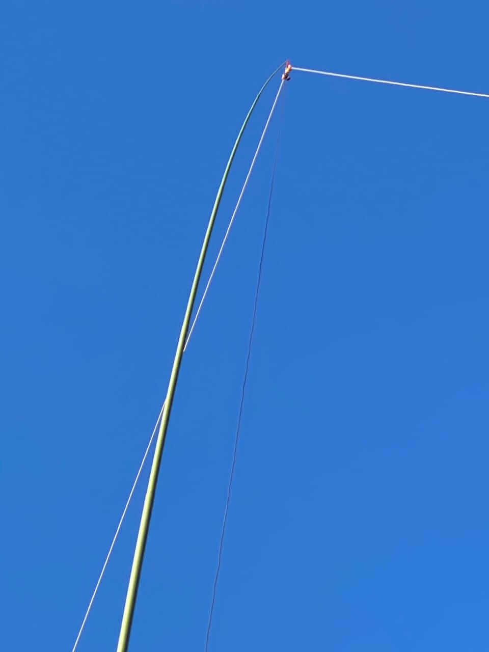 Green Windsock Arm+7' Line Rig Jackite Fiberglass Telescoping Kite 31' Pole