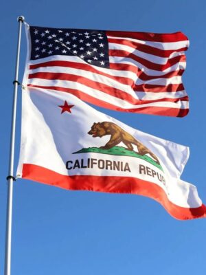 22ft-deluxe-fiberglass-pole-sky